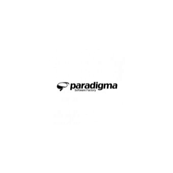 Paradigma del Sur SA