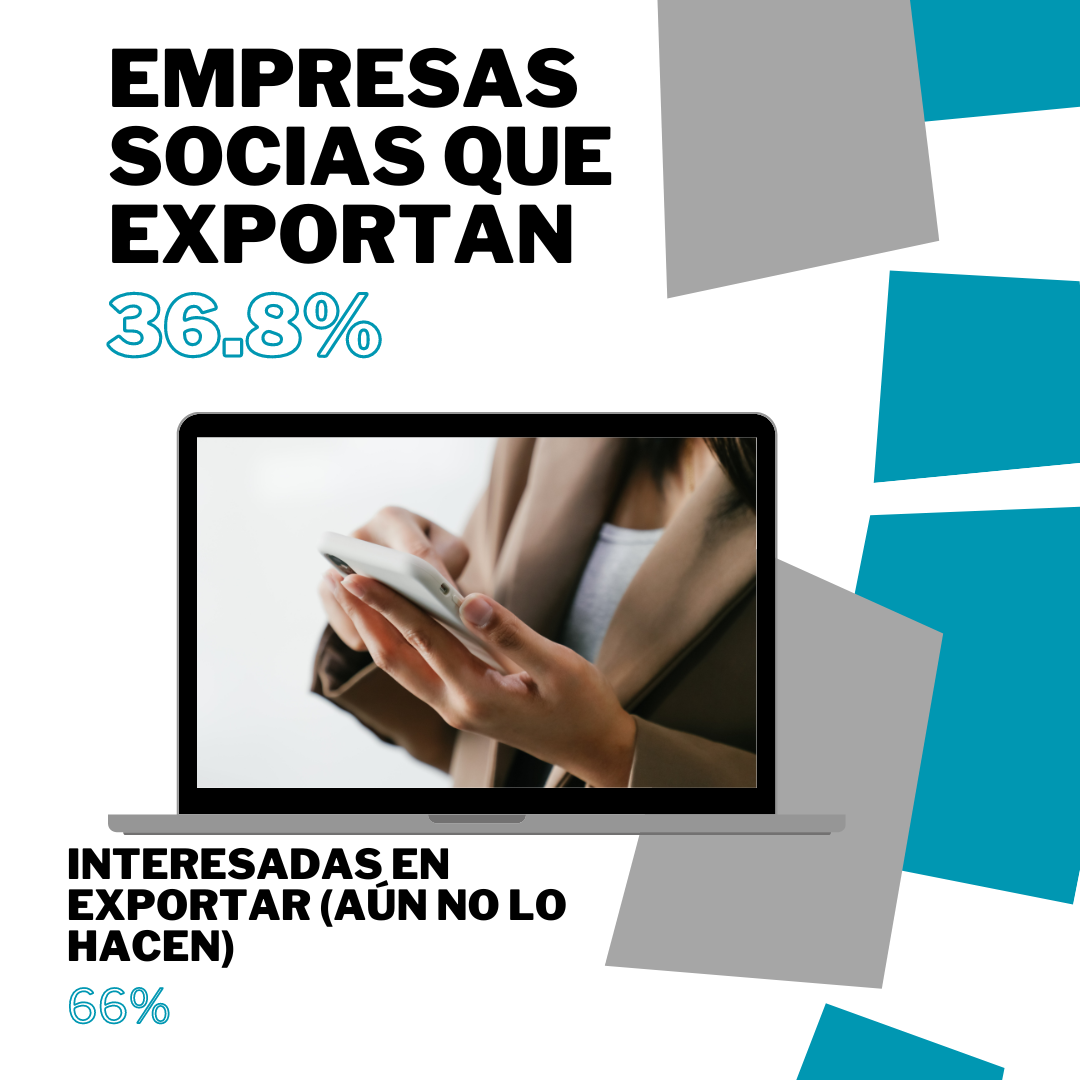 Relevamiento sobre comercio exterior